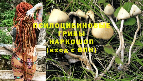 гашишное масло Нефтекумск