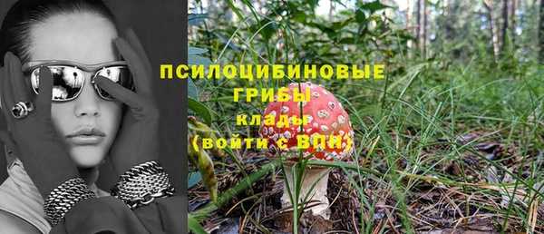 молекула духа Абинск
